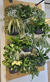 ETC-Echoflex-InnovationCentreOpening_SquamishBC_04162024_003