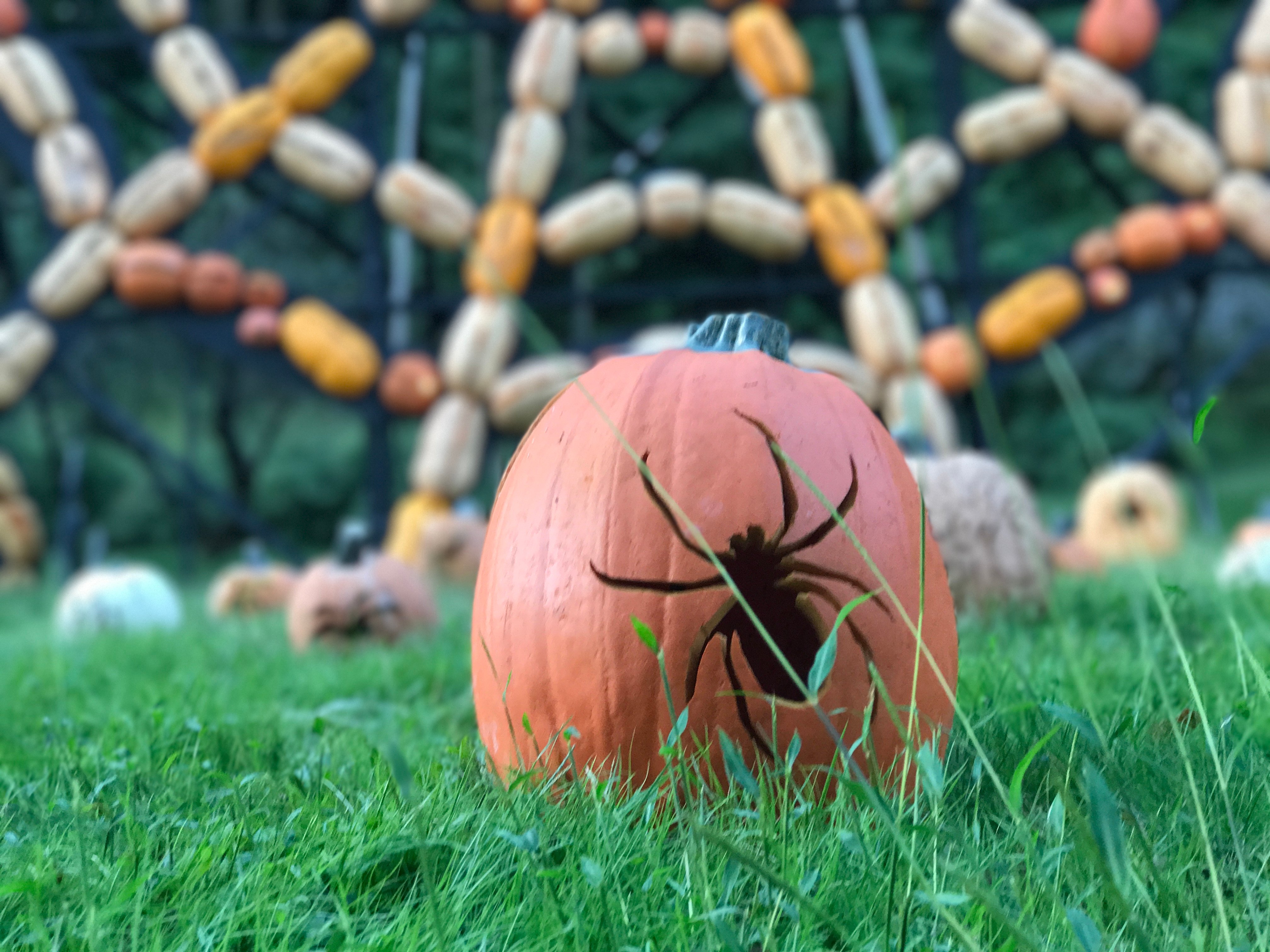 candle-powered pumpkins