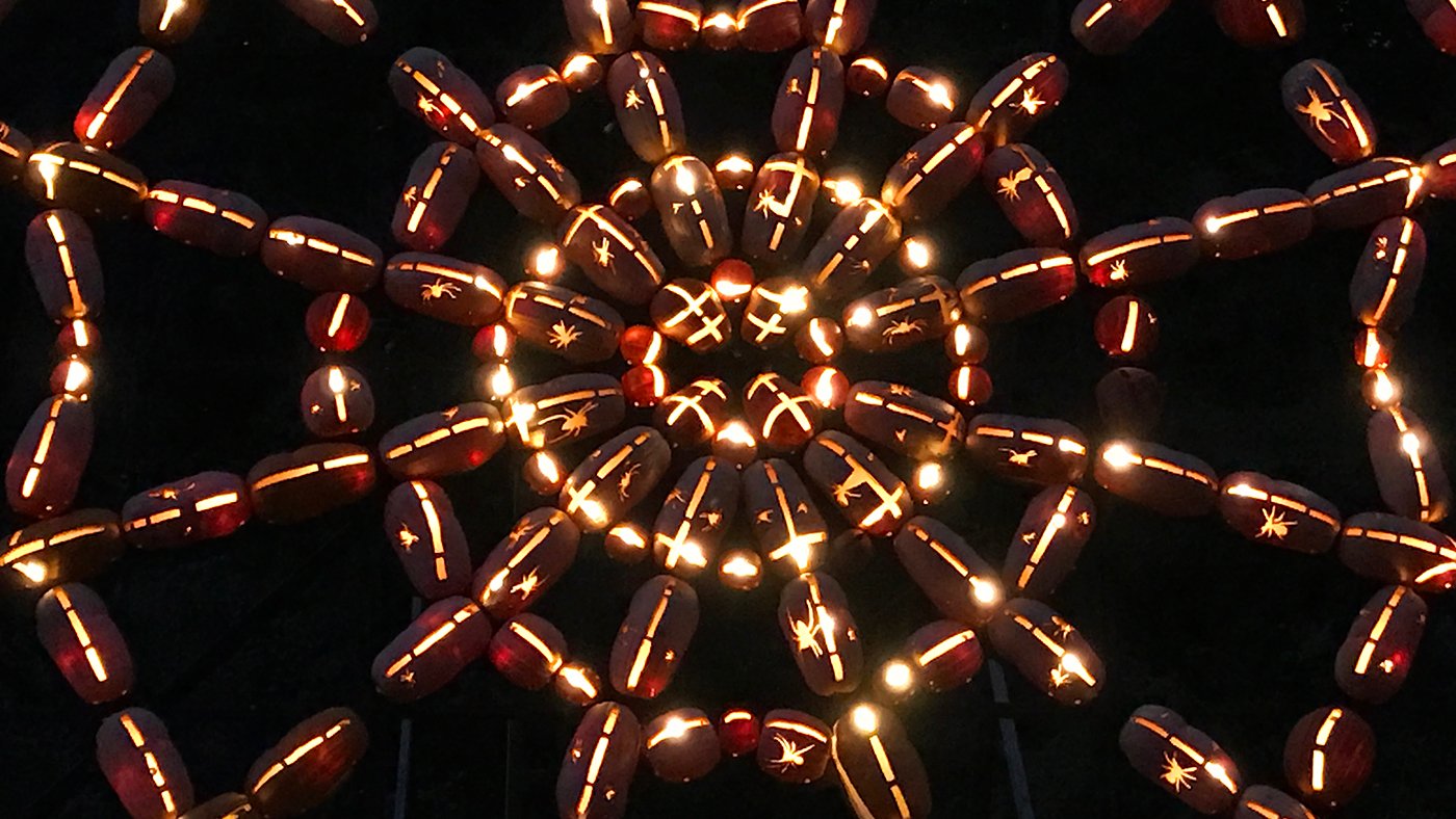 giant pumpkin spiderweb