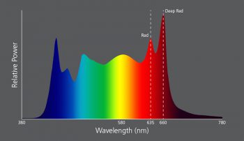 deep red LED fos/4