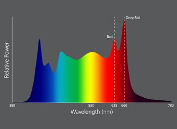 Deep Red color chart